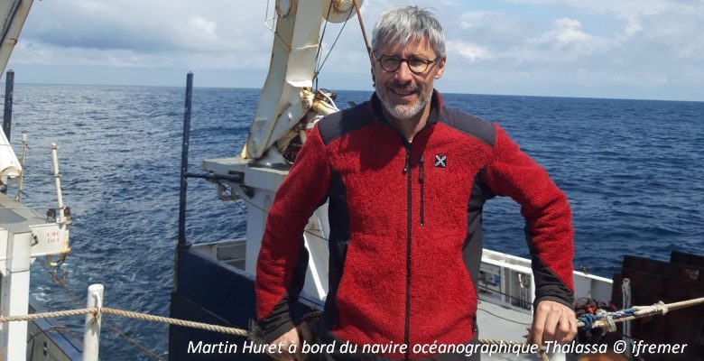 You are currently viewing Interview de Martin Huret, coordinateur du programme TRANSPEL sur les petits pélagiques